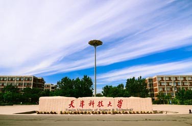 天津科技大学（天津）