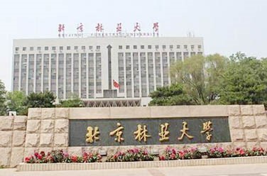 张* 文